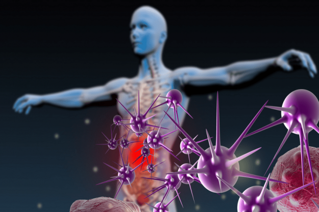 immune-system healthy immune system prevents disease