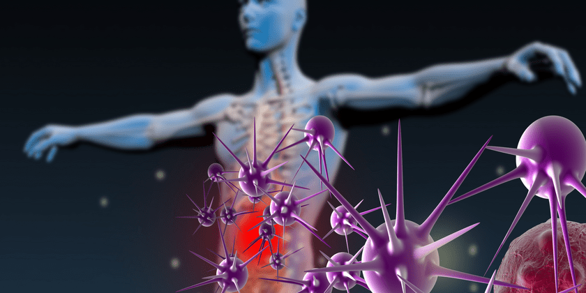 immune-system healthy immune system prevents disease