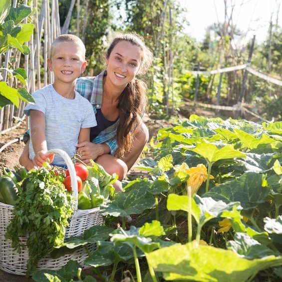 healthy food tips healthy food tips