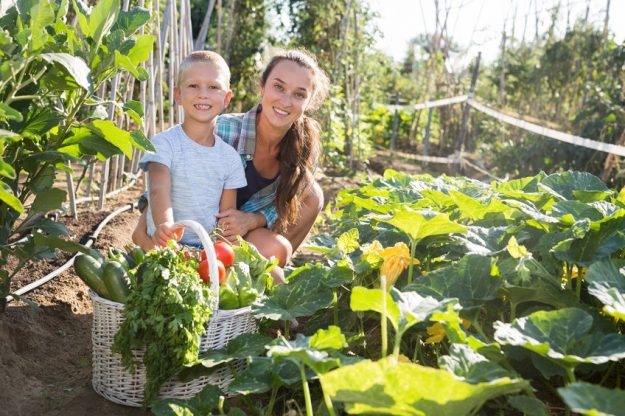 healthy food tips healthy food tips